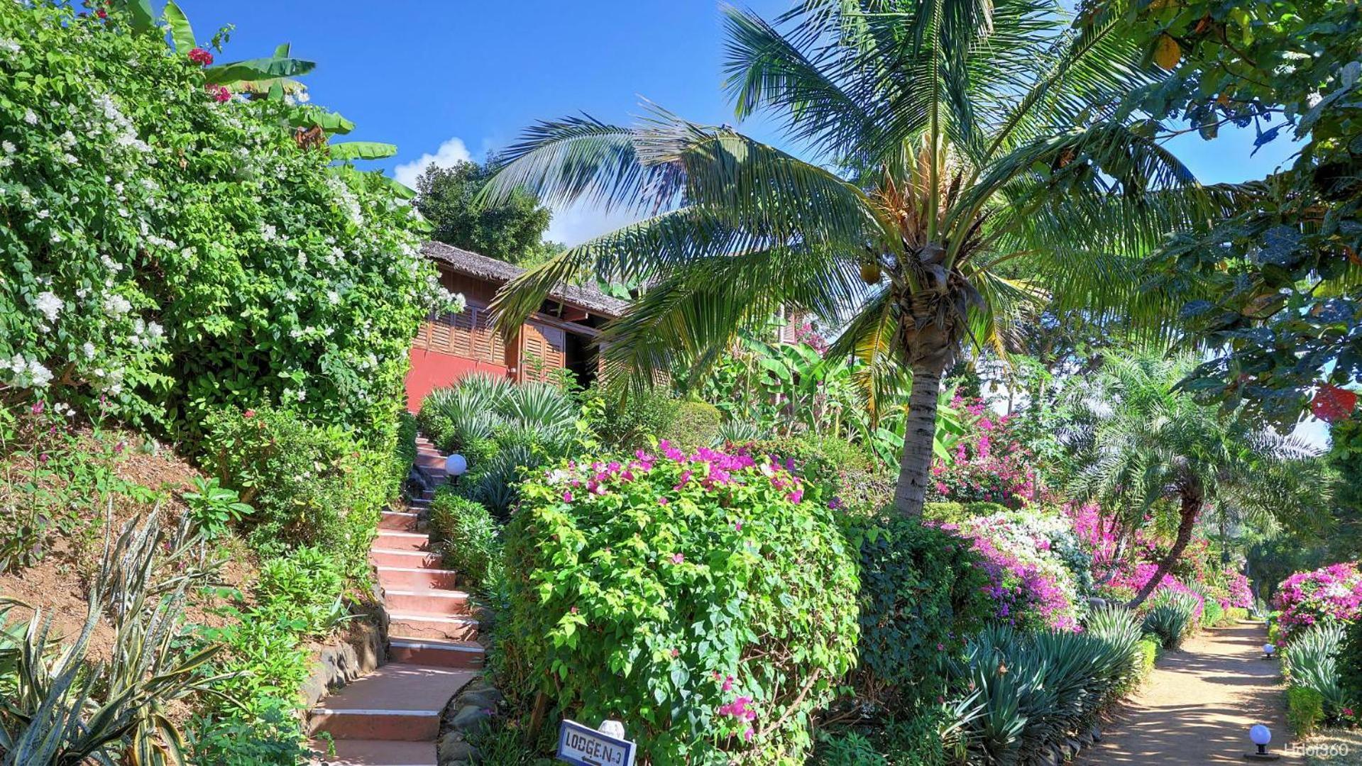 Manga Soa Lodge Fascene - Befefika Exterior photo
